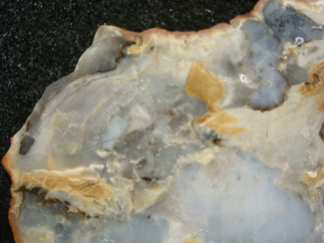 burro creek agate slab