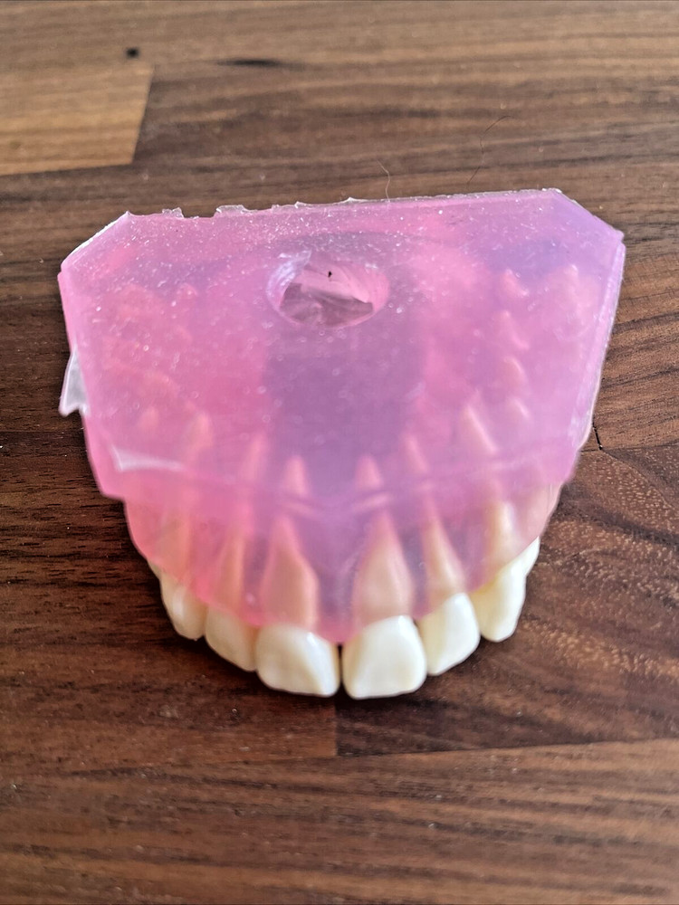 DENTAL TYPODONT UPPER Removable Teeth Soft Oral Demonstrating Practice ODDITIES