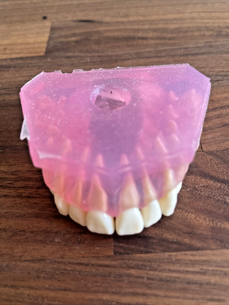 DENTAL TYPODONT UPPER Removable Teeth Soft Oral Demonstrating Practice ODDITIES