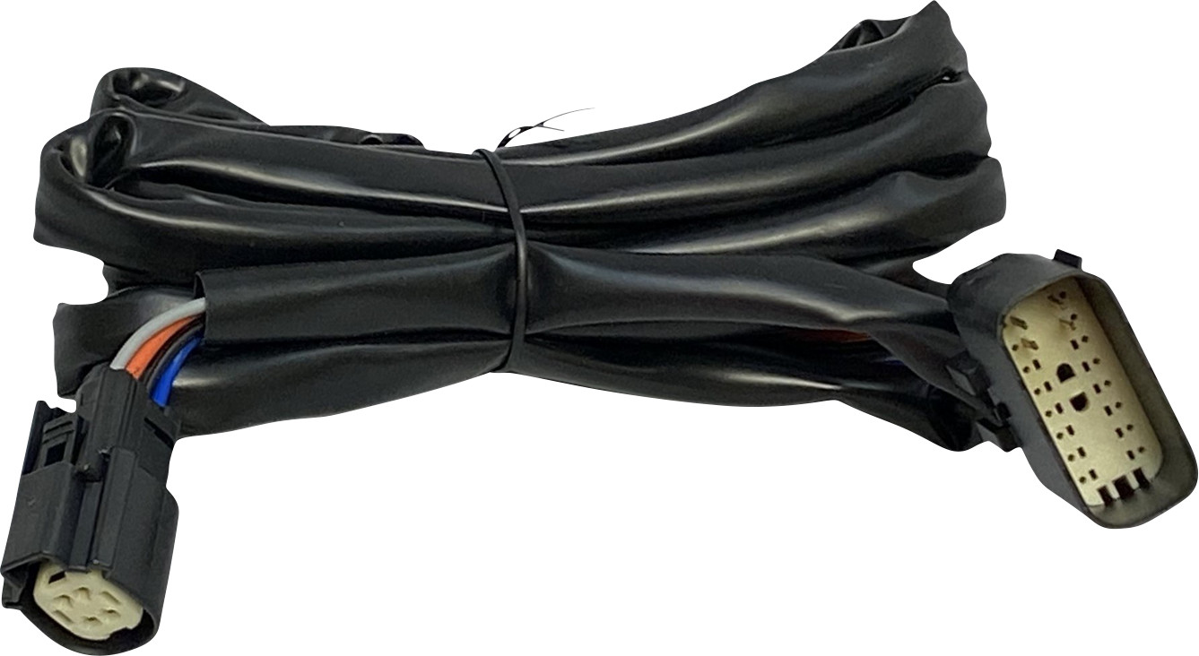 Custom Dynamics Rear King Tour Pak Speaker Harness for 2014-2023 Harley Touring