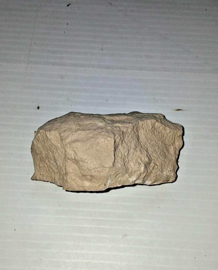 Turtle Egg Fossil?