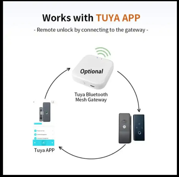 Garden Gate Face recognition TUYA Bluetooth smart door fingerprint lock