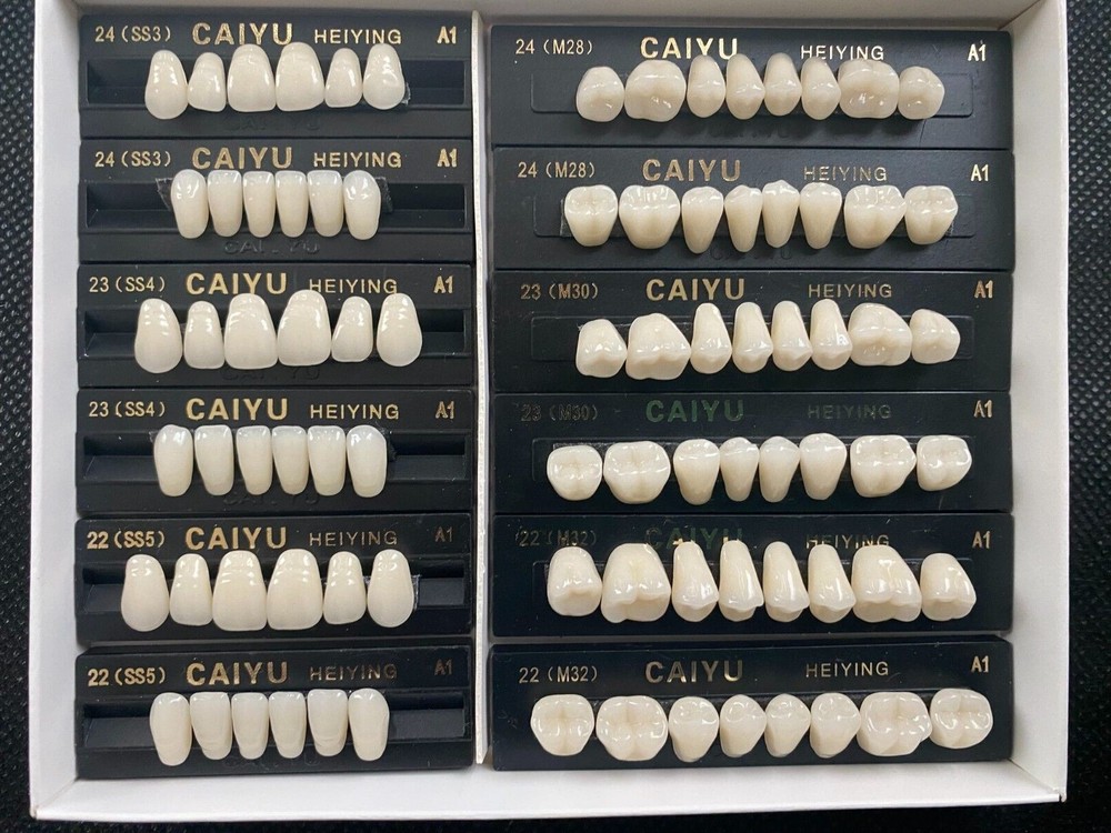 3 Complete Sets High Quality Acrylic Denture Teeth The Same color Different Size
