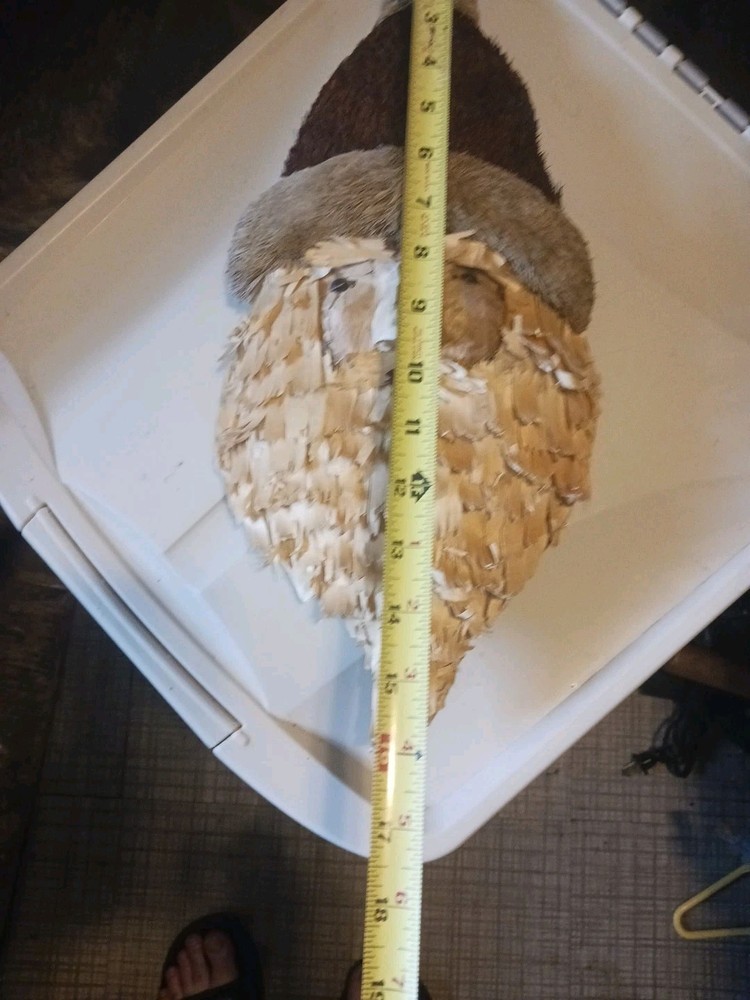"Straw Santa Head"