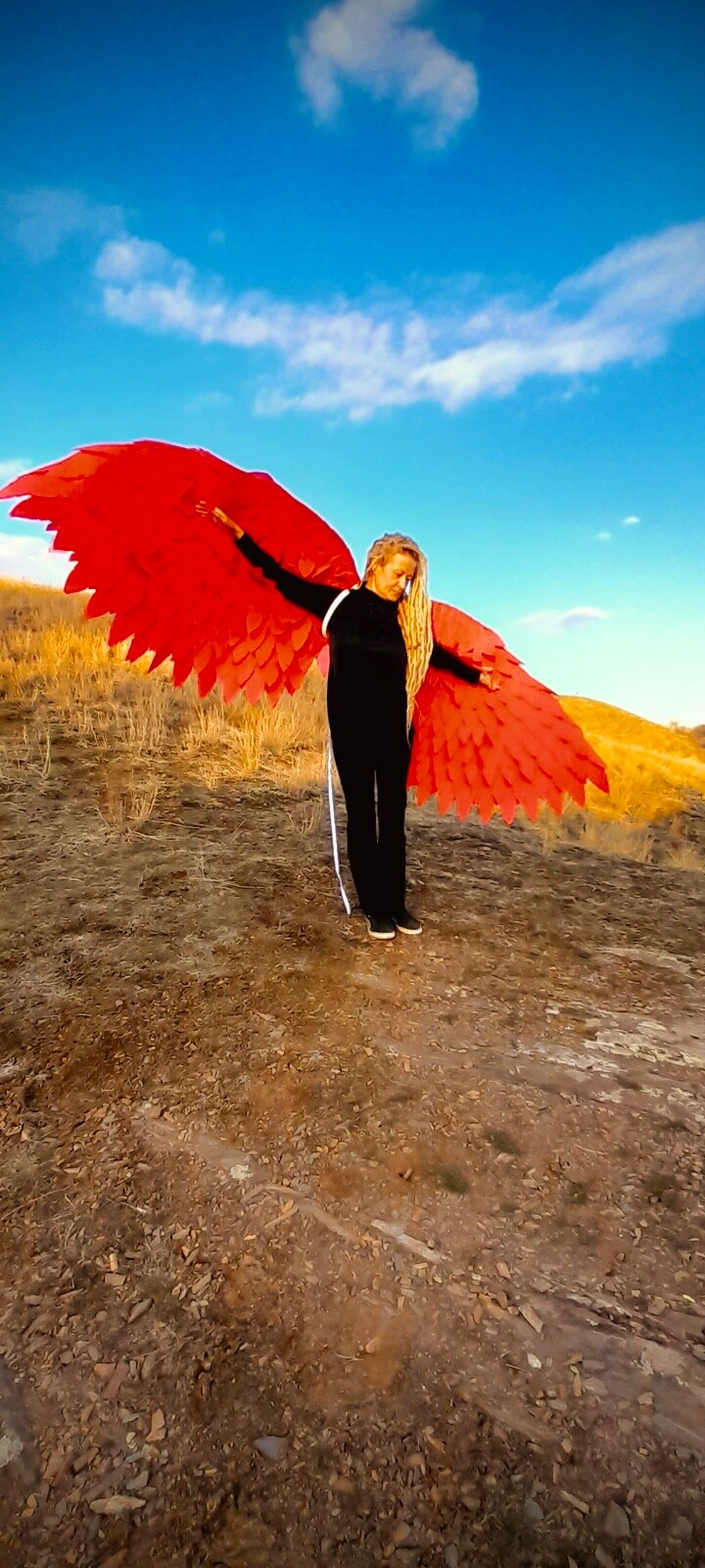 Red Angel Wings Costume Moveable Wings Red Adult Wings Cosplay Halloween Costume