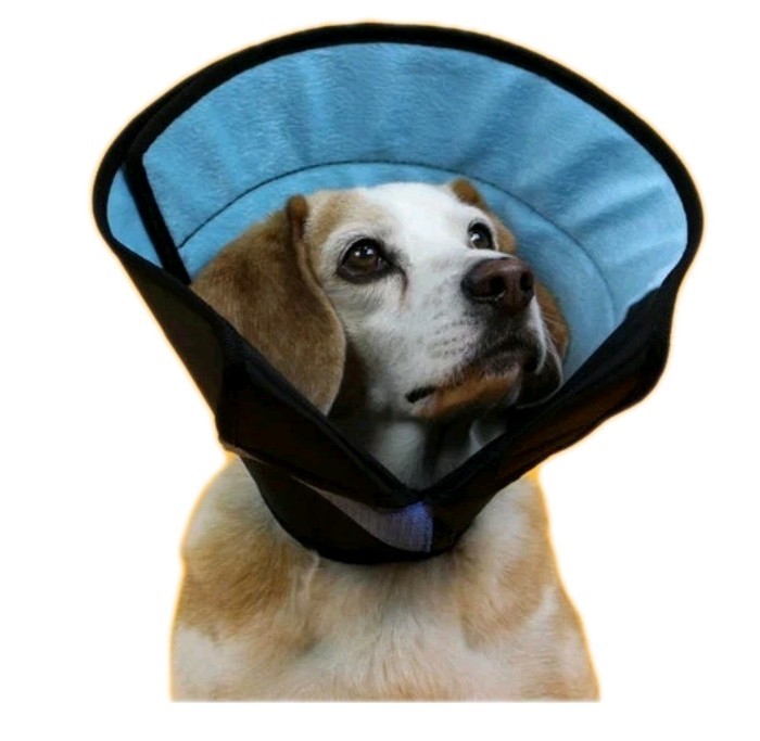 Calmer Collar Medium