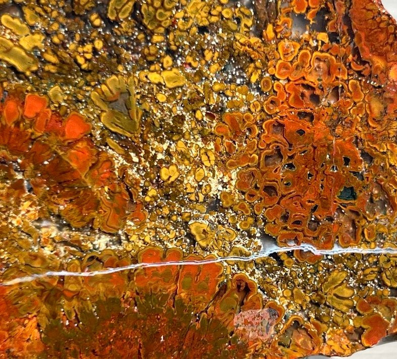 East Java Plume Agate - Indonesia 3.75"x3" High Grade Lapidary Rough Slab