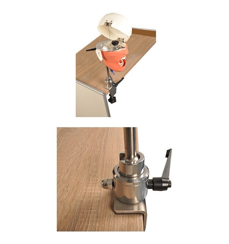 Dental Manikin System for Bench
