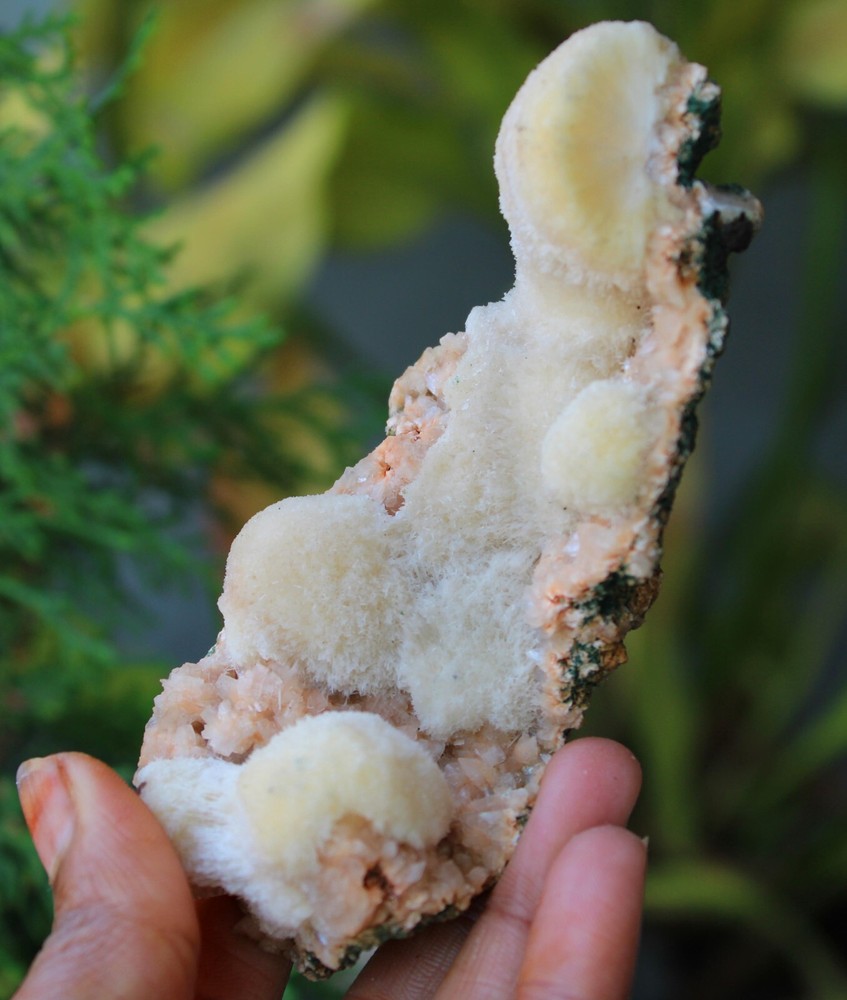 Thomsonite w/ Stilbite Formation On Matrix Minerals Specimen #M11