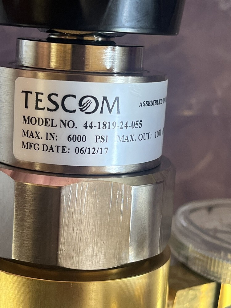 tescom regulator With Gauges Model 44-1819-24-055
