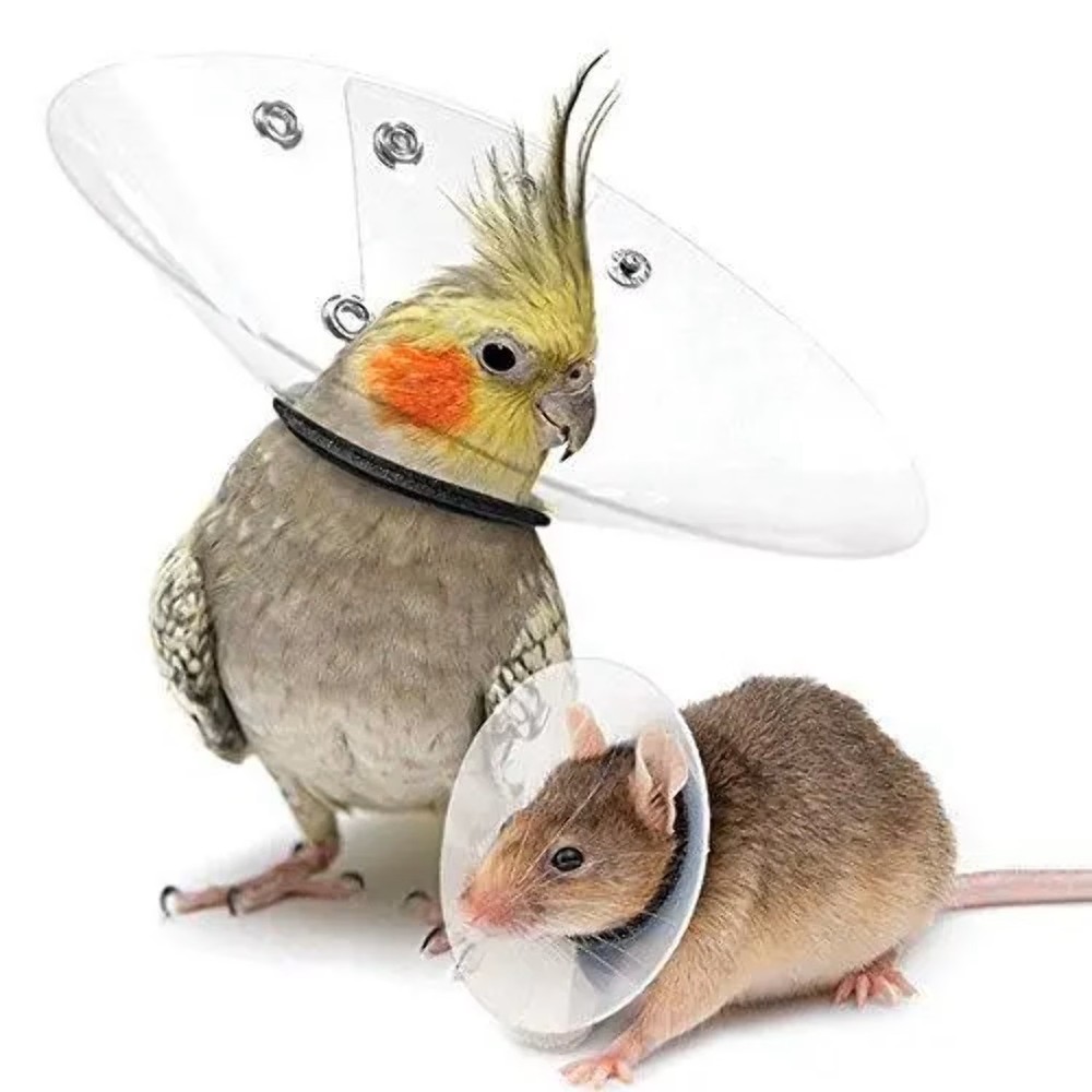 KVP Bird E-Collar, 3.2-3.5"/8"