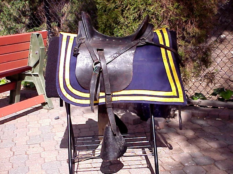 Original INDIAN WARS U.S. Cavalry Officer's SADDLE