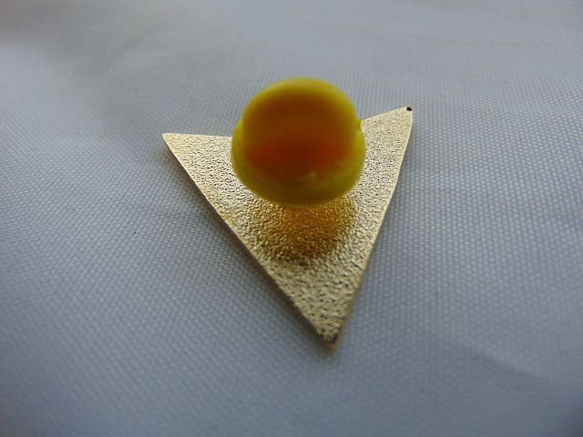 Pokemon Go! Team Instinct Metal Pin