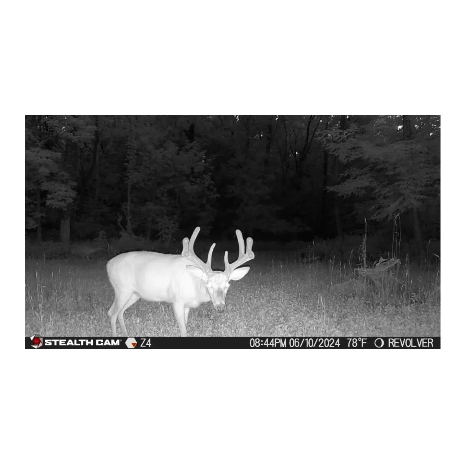 Stealth Cam Revolver Pro 2.0 Trail Camera with Solar Battery Pack