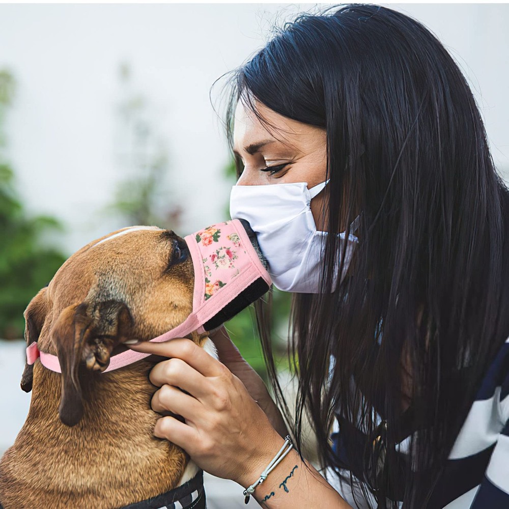 Dog Muzzle Soft Nylon Anti-Bite Bark Chew Adjustable Breathable 4 Sizes 4 Colors