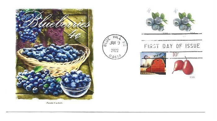 5652 4c Blueberries pane Panda Cachets  FDC