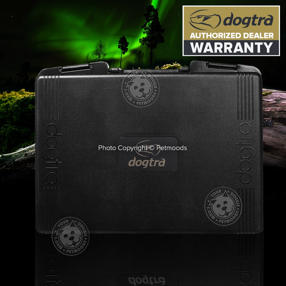 Dogtra 2700T&B Remote Dog Training & Beeper Collar System Hunting Train / Beep