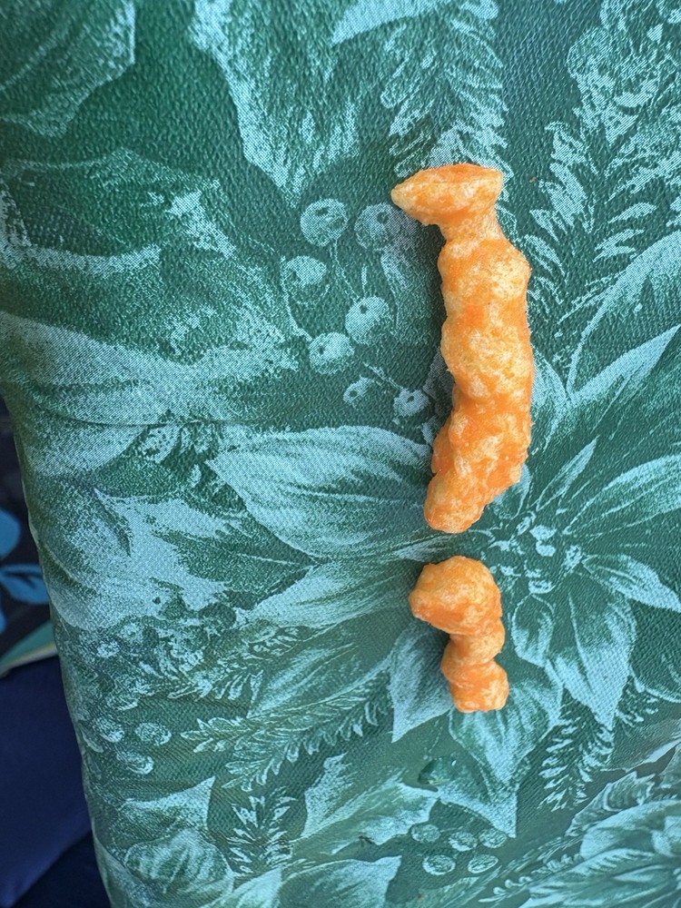 Cheeto Shaped Fish Two