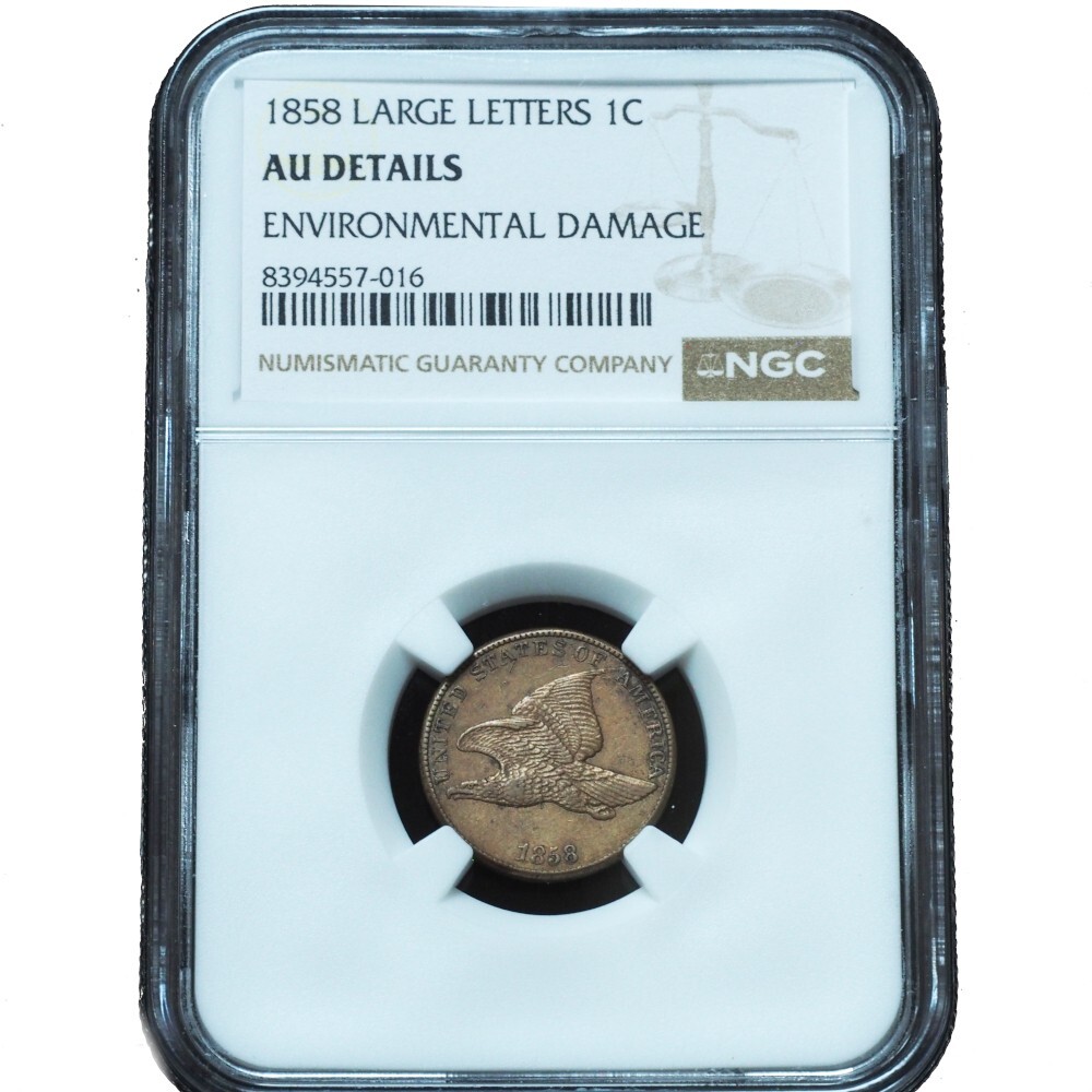1858 Flying Eagle Cent Large Letters AU NGC - Double Die Obverse!