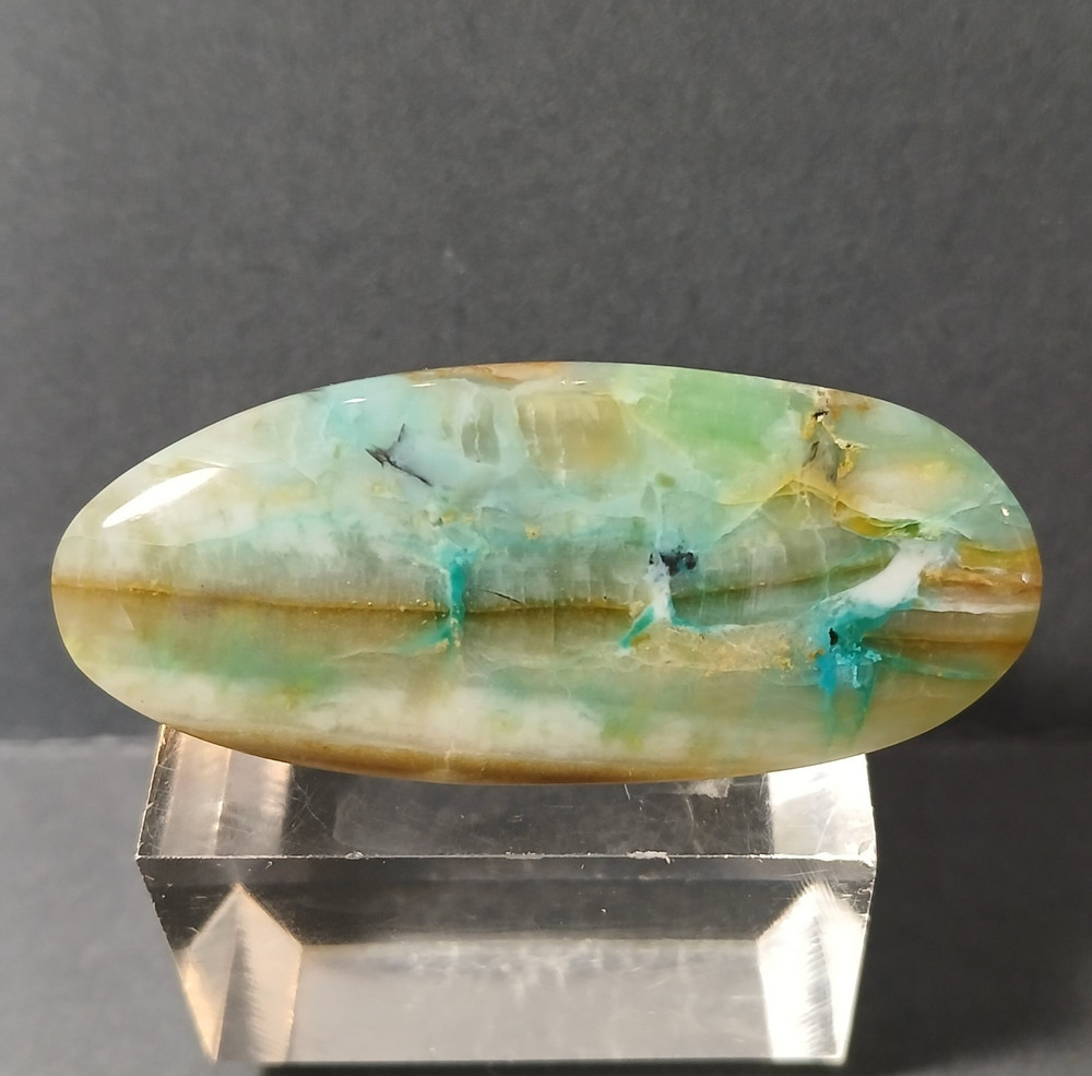Indonesian Opalized Wood Cabochon
