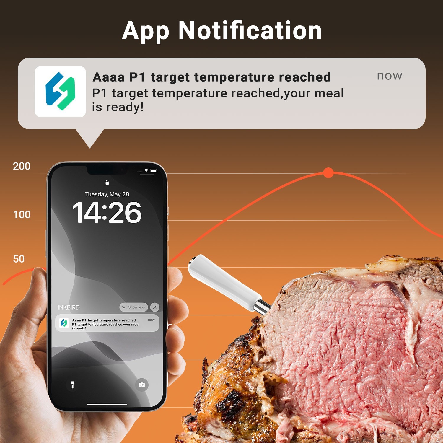 Wiresless BBQ Thermometer Meat Cooking Outdoor Dual Probes Bluetooth WiFi Combo