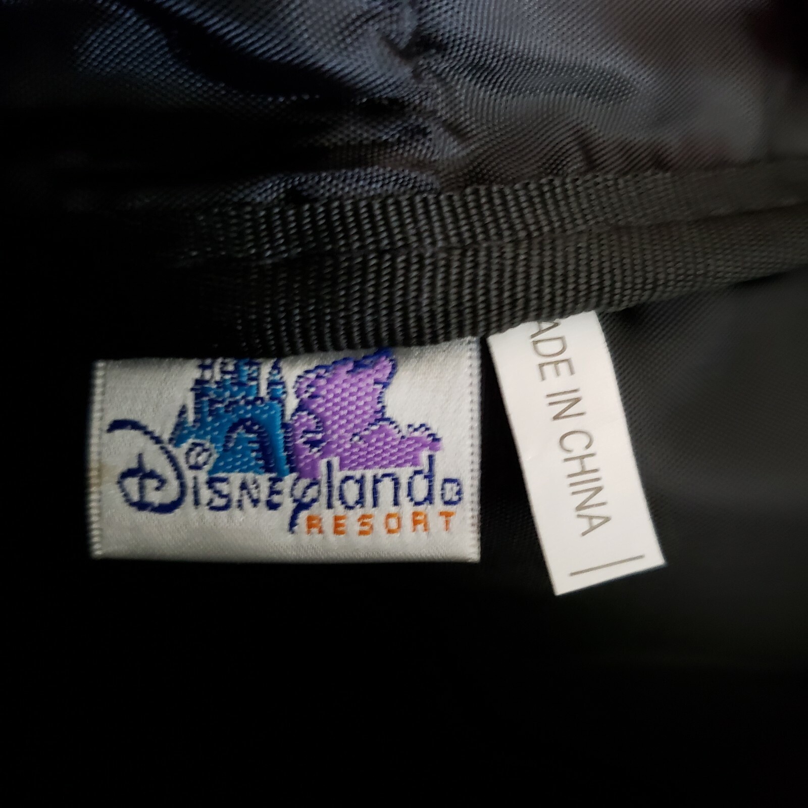 DisneyParks Y2K Disneyland The Haunted Mansion 35thAnniversary Crossbody Bag New