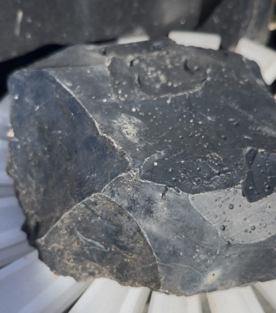 Spiderweb Obsidian Flat And Ready For Knapping
