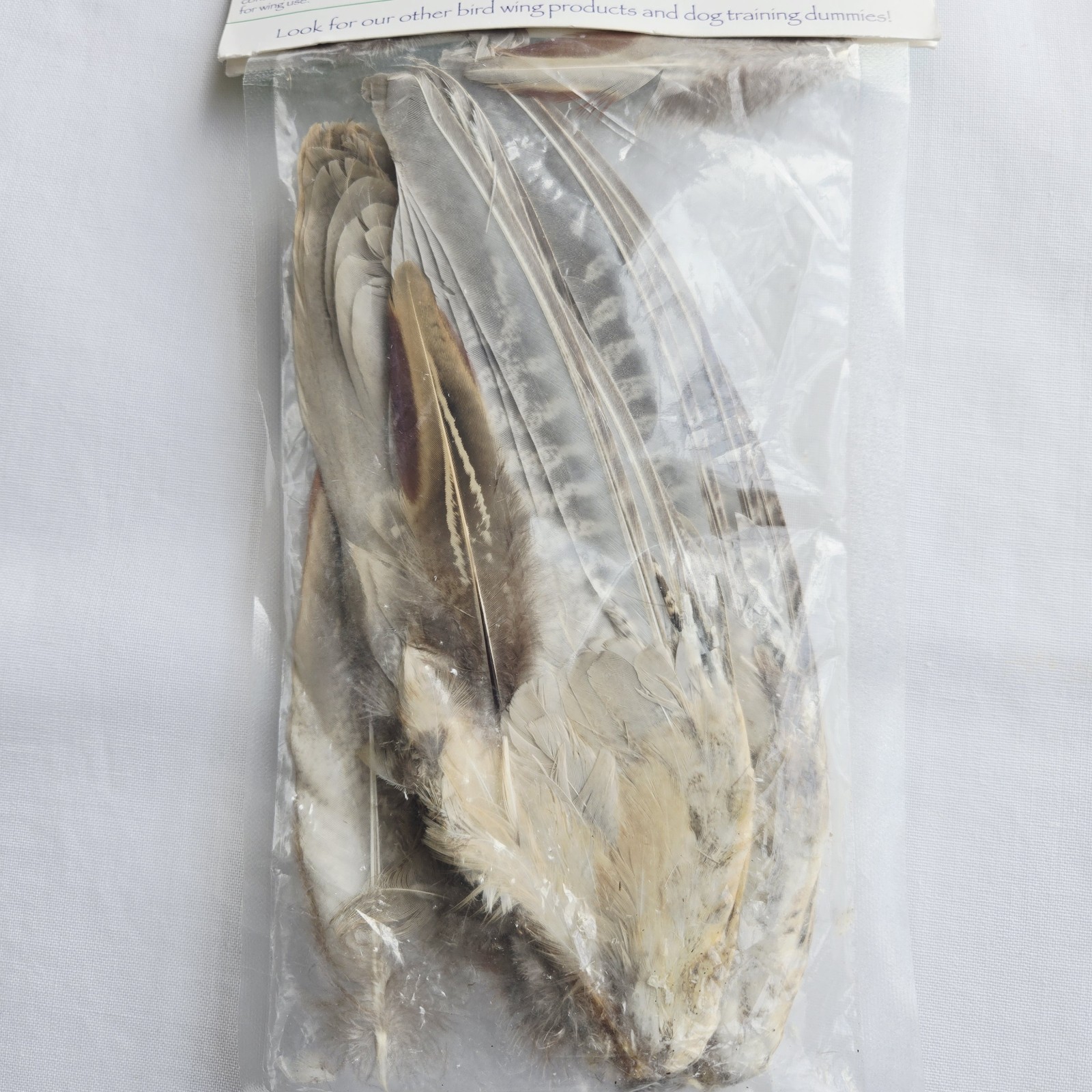 Wild Pheasant Wings Bird Dog Training Hunting Decor