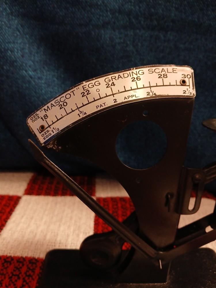 Antique "Mascot Egg Grading Scale"
