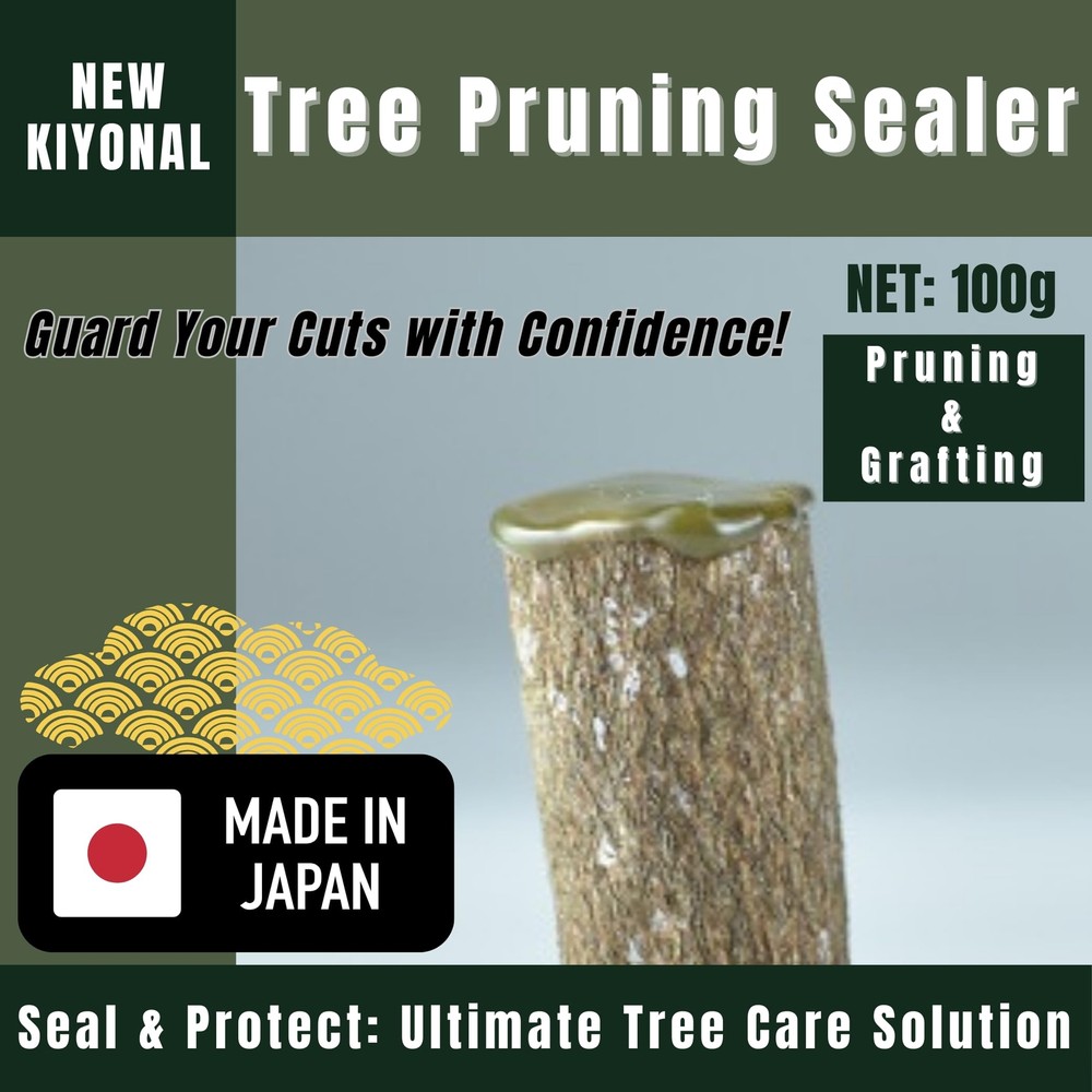 Japanese Bonsai Cutting Paste Kiyonal 100g Quick Dry Authentic Tool