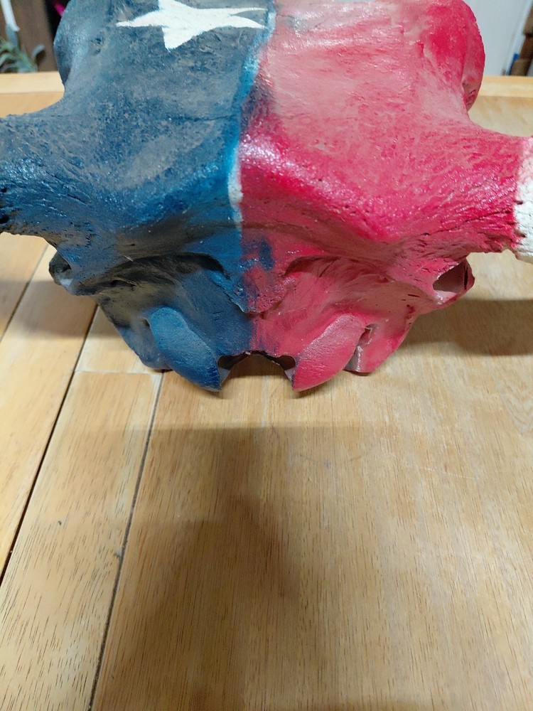 bull skull with Texas Flag