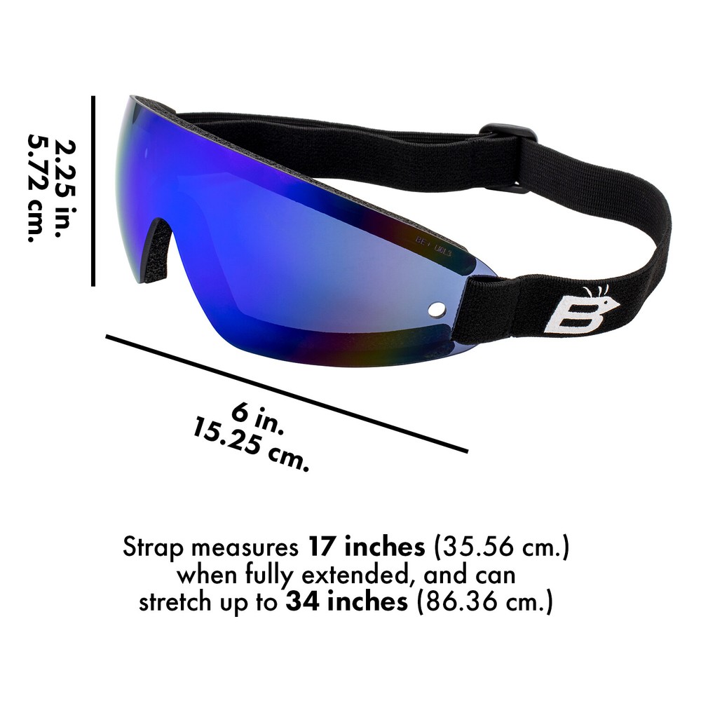 Birdz Wing Skydiving Goggles Single-Piece Blue ReflecTech Mirror Lens
