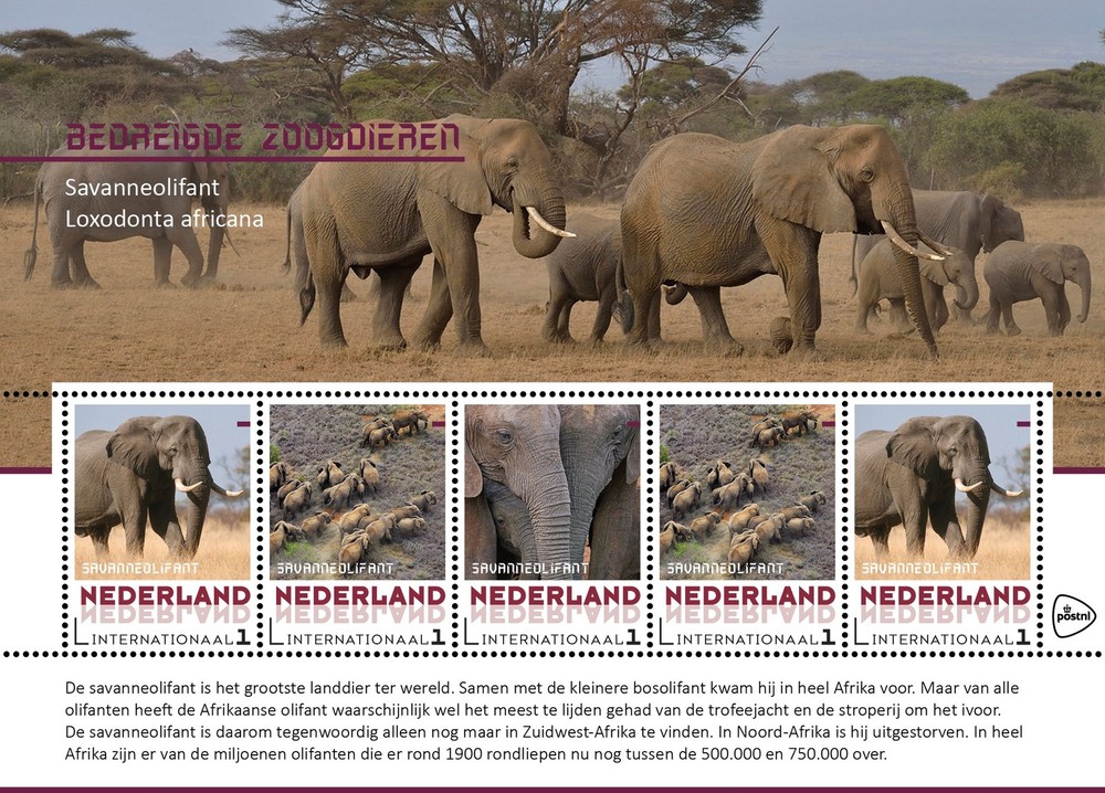 Netherlands 2017 Endagered animal  3  elephants   sheetlet     mnh/postfris c