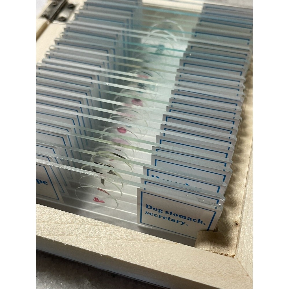 Amscope Biology 25 Prepared Microscope Slides New In Box