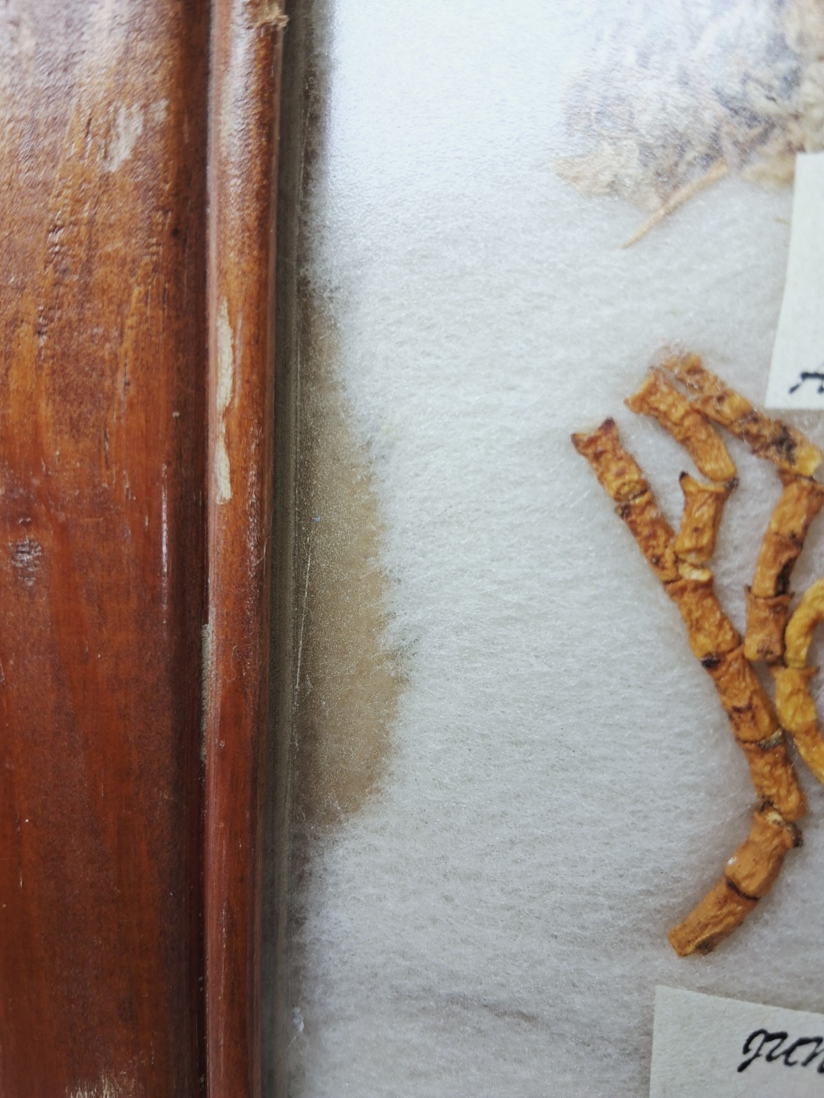 Navajo Medicine Chart Arletta Henderson Native American Framed Vintage