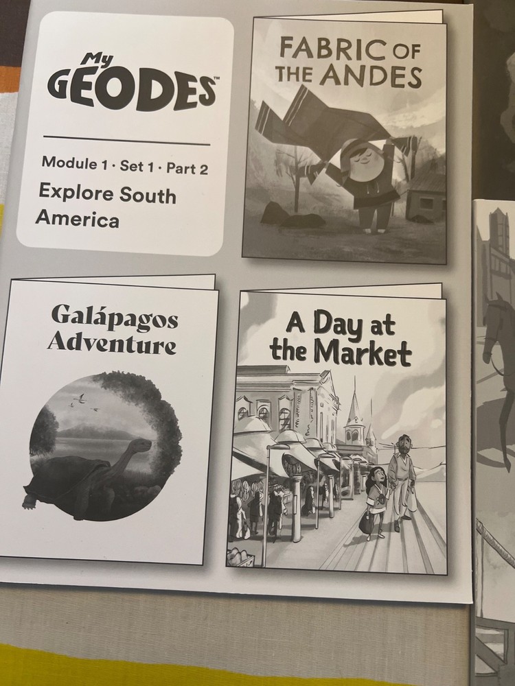 Geodes Wilson Fundations book. Level K