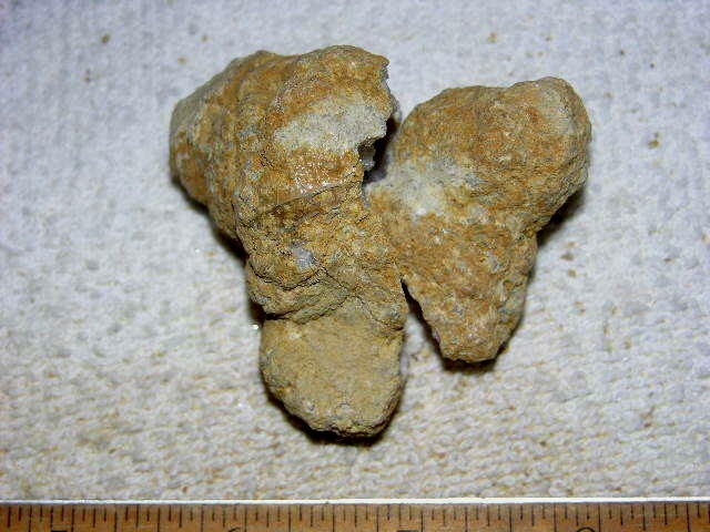 Geode pair opened with crystal centers 2.5 inch G73
