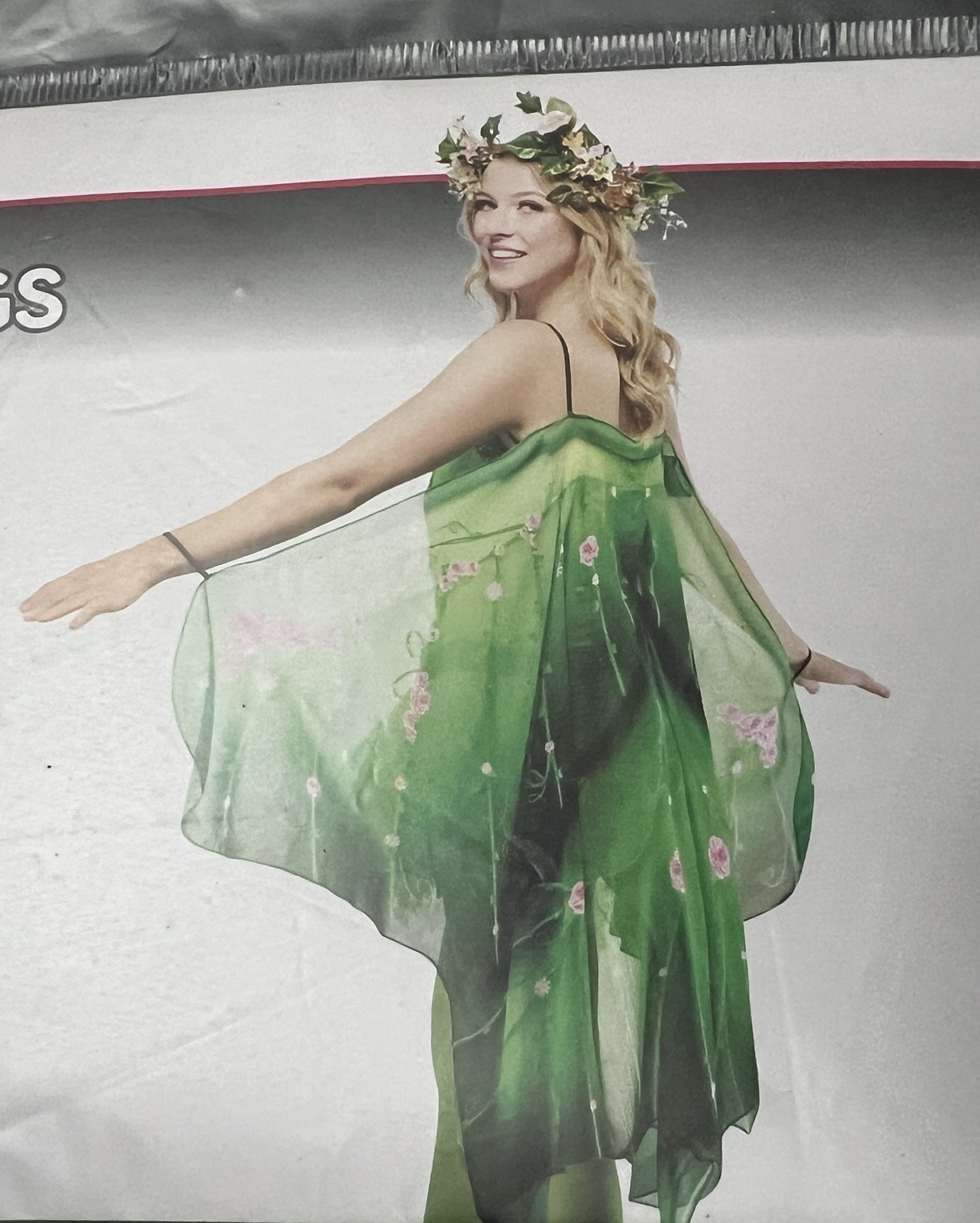RUBIES Adult Fairy Wings Costume Accessory 1-Piece Age 14+ • Green