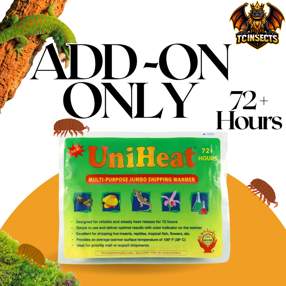 Add-On  72+ Hours Uni Heat Pack for Live Feeder Insect Orders