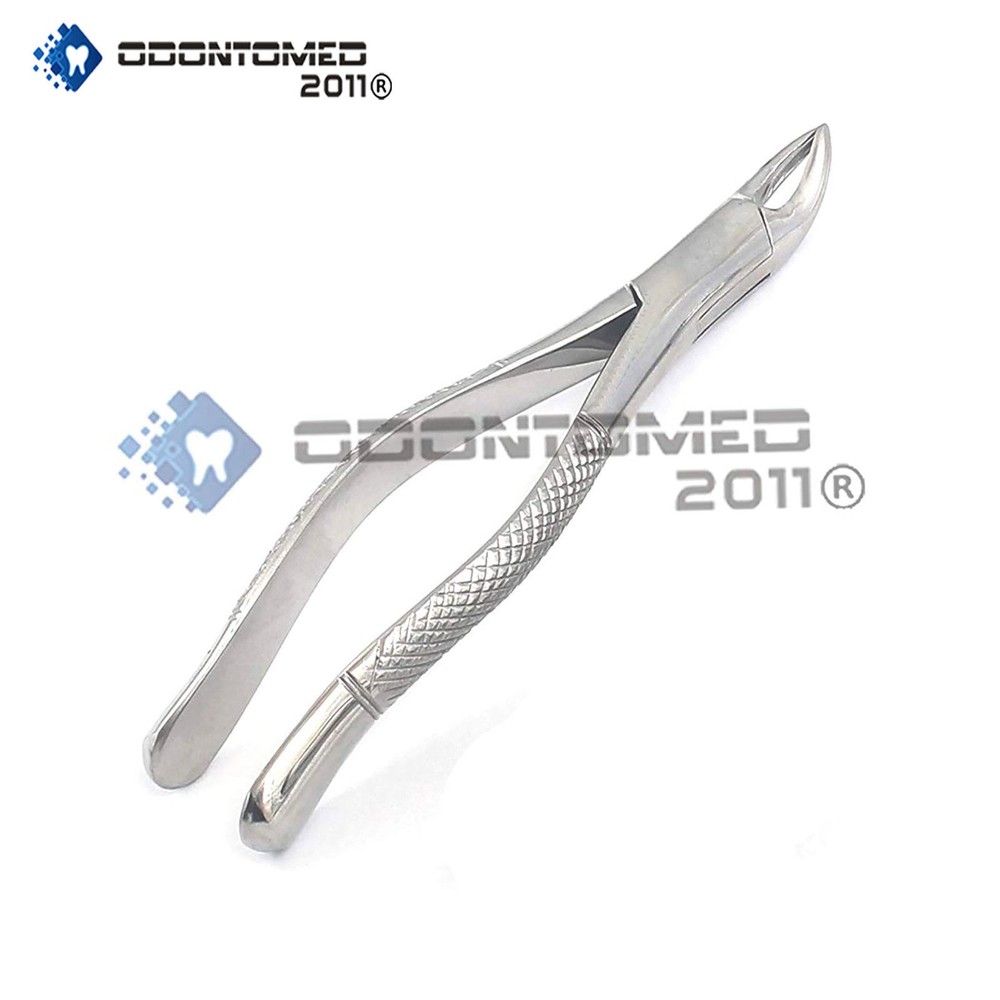 Extracting Forceps# 150S Dental Veterinary Surgical