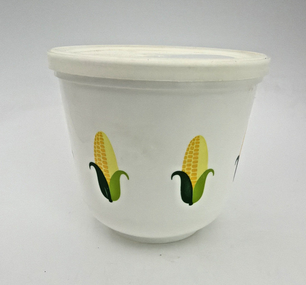 Fleischmann's Margarine Vintage Plastic Container, Pre-owned