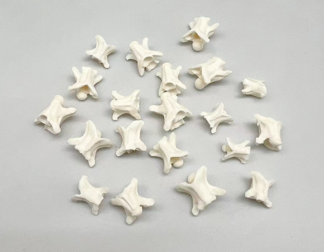 Rattlesnake Vertebrae 20pc Lot Mixed Size Snake Skeleton Taxidermy Bone