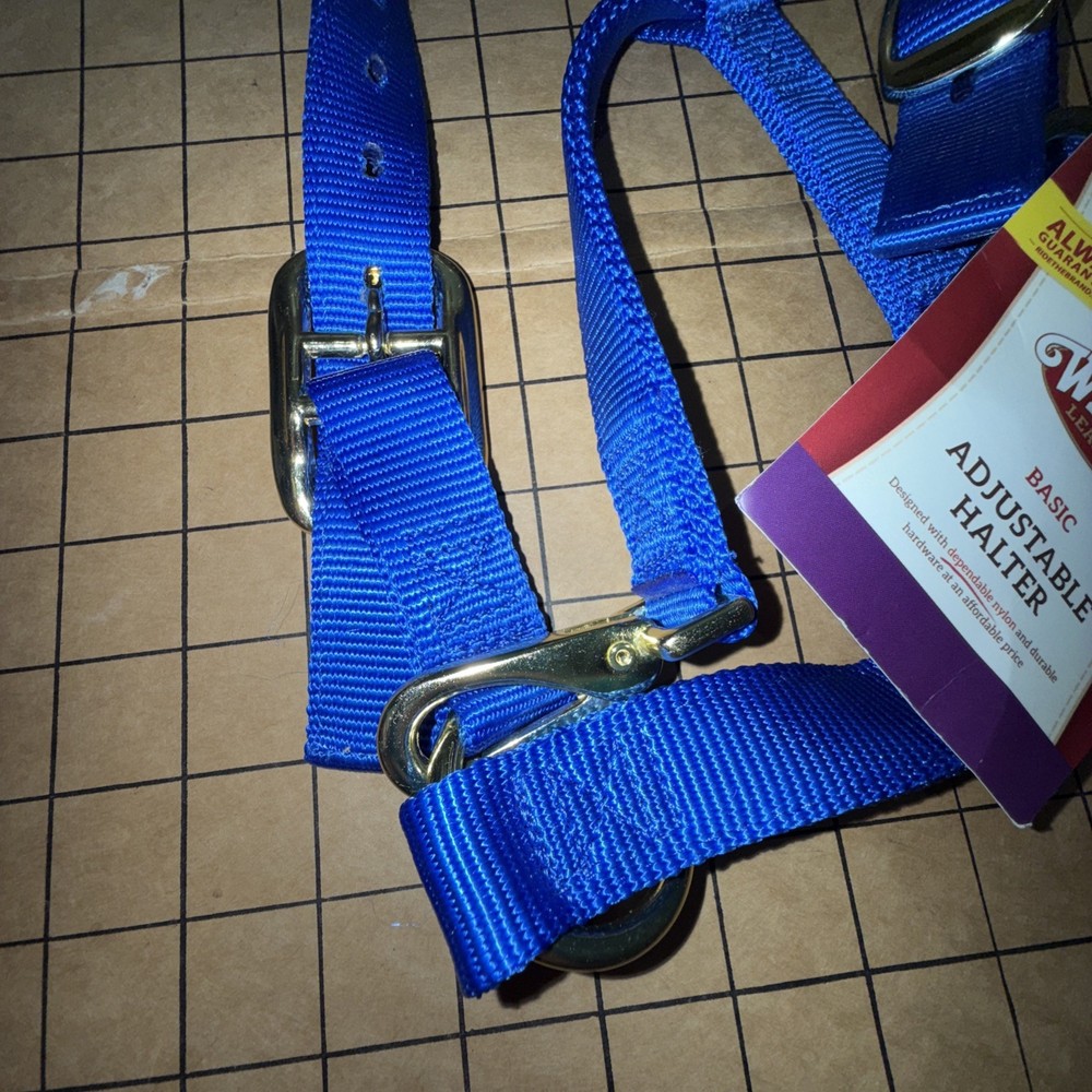 Weaver Basic Adj Halter w/Snap Size Small Blue Color