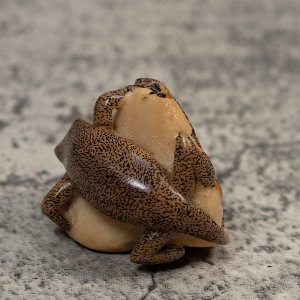 Double Brown Gecko Lizard Tagua Carving