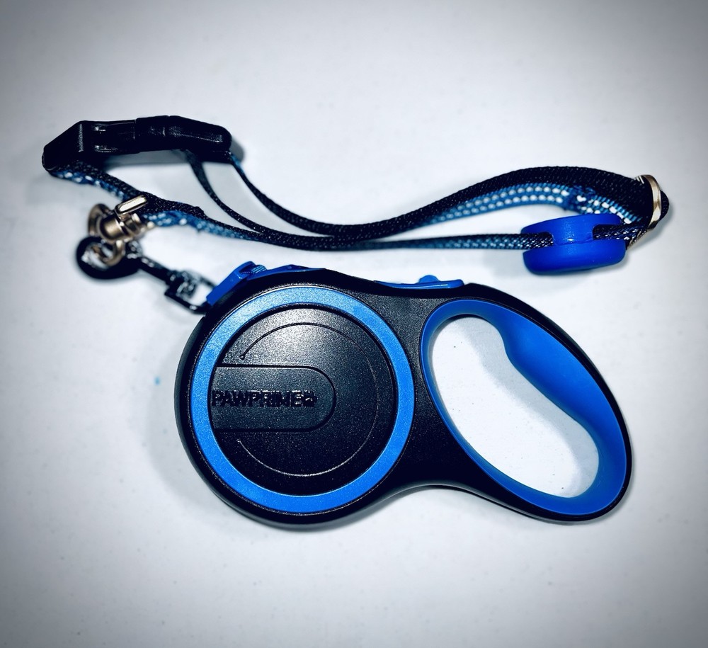dog collar and leash set
