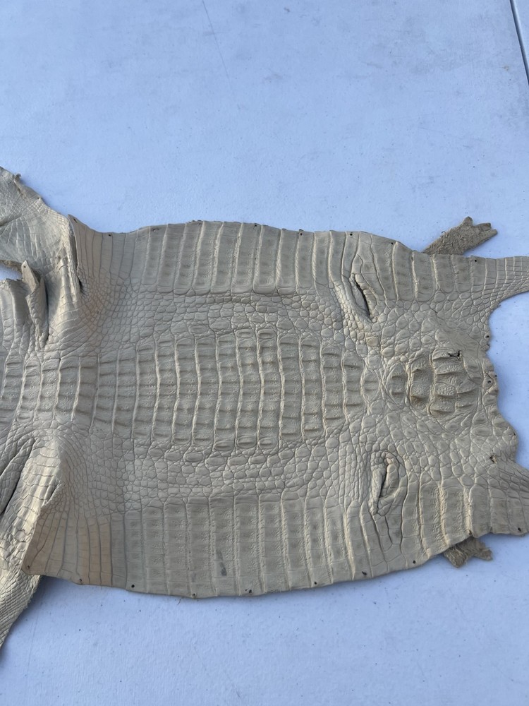 Genuine Crocodile Leather ( Bone Color )