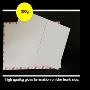 MX Aircraft MX2 Aircraft