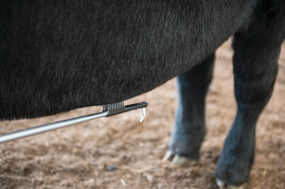 Weaver, Stick Calm, Show stick accessory