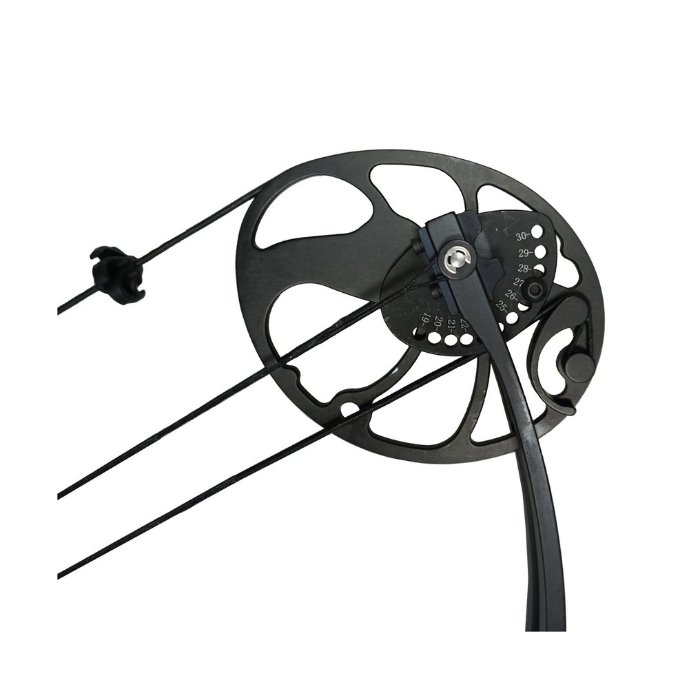 Professional Hunting Black Compound Bow