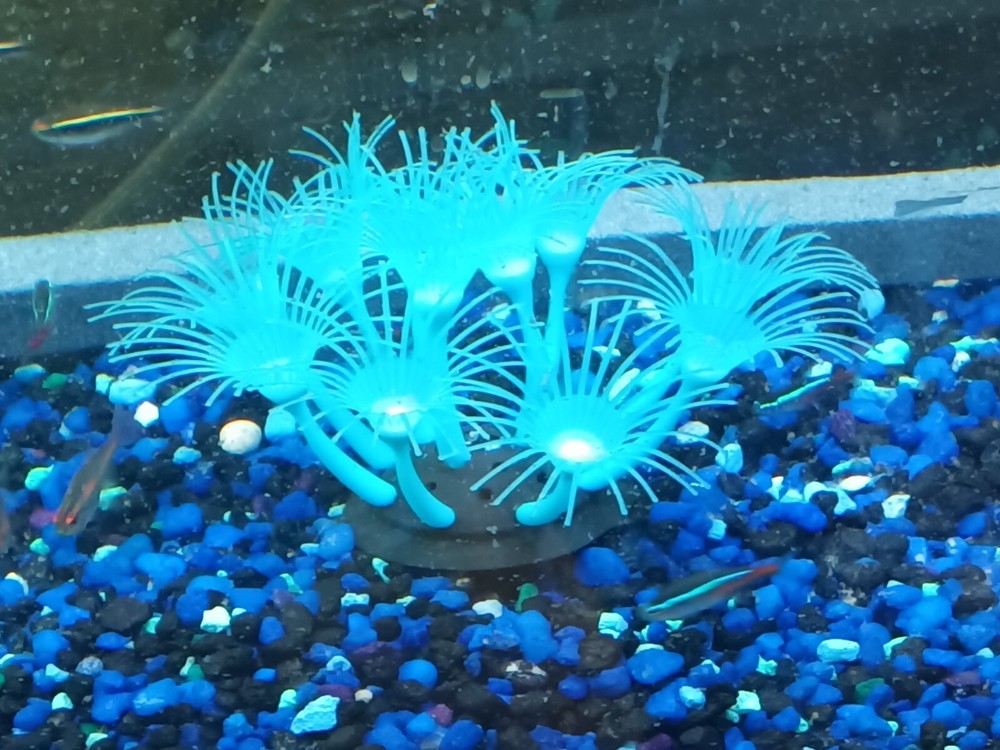 Silicone fish tank decoration